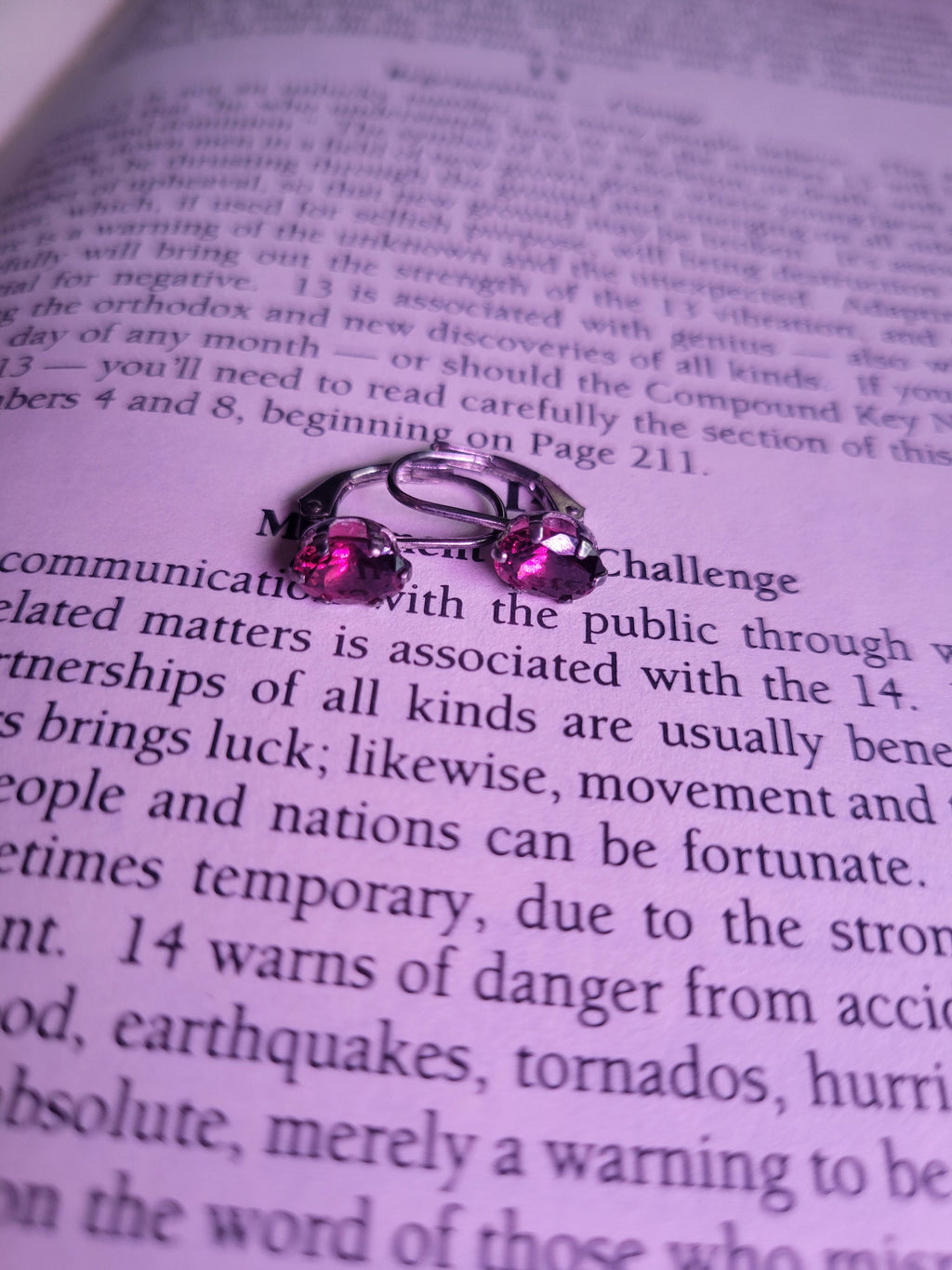 South Carolina Garnet Earrings-January Birthstone Jewelry-Red Leverback Earrings-Handcrafted Jewelry-Red Natural Gemstone