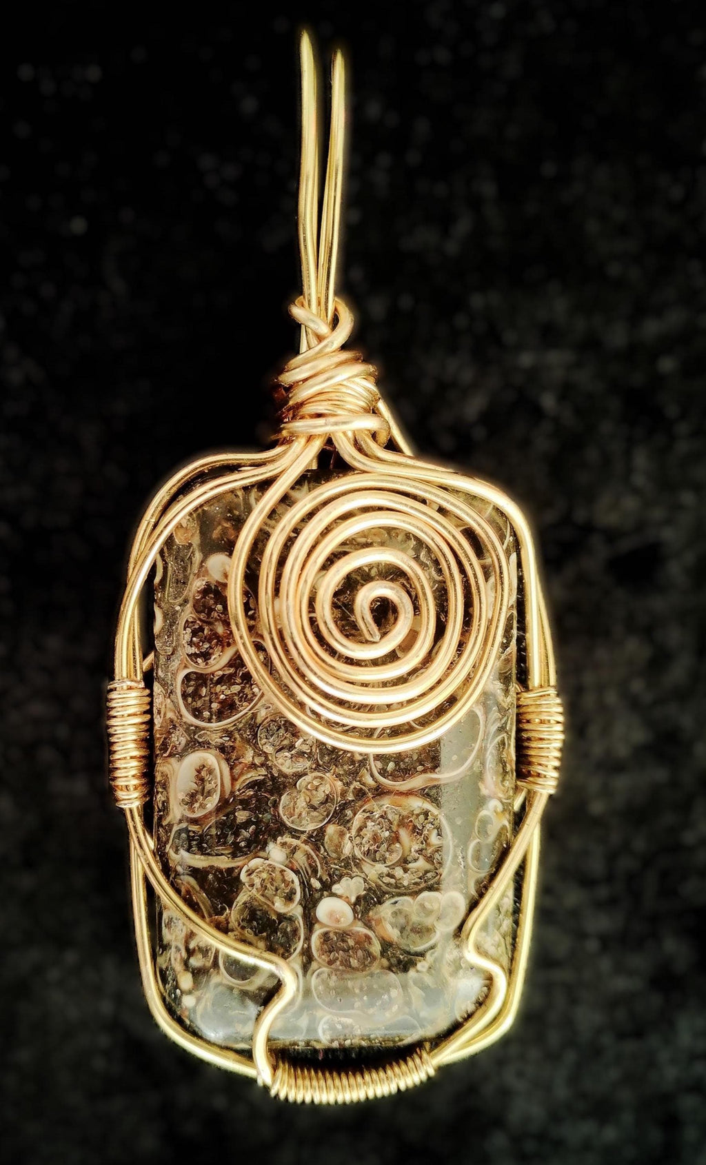 Seashell Pendant Wire Wrapped in Gold, Black Jasper with Sea Shell Fossils embedded within