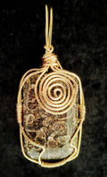 Seashell Pendant Wire Wrapped in Gold, Black Jasper with Sea Shell Fossils embedded within